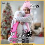 شال و کلاه کد M254
