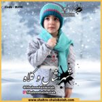 شال و کلاه کد M256