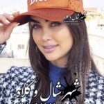 کلاه کپ دیور کد B20