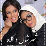 شال پلیسه سه گوش رینگی کد 171